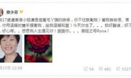 最新香港娱乐圈真实爆料,独家揭秘明星幕后真相